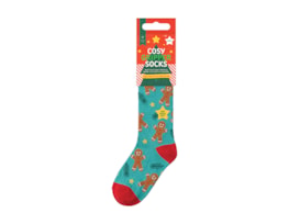 Wholesale Boys Printed Novelty Cosy Socks with Grippers