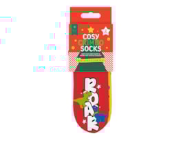 Wholesale Boys Printed Novelty Cosy Socks with Grippers 2pk Wholesale Boys Printed Novelty Cosy Socks with Grippers 2pk