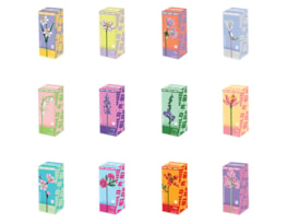 Bulk Buy Flower Building Blocks Series 2 CDU