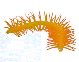 Wholesale Cecile the centipede CDU Wholesale Cecile the centipede CDU