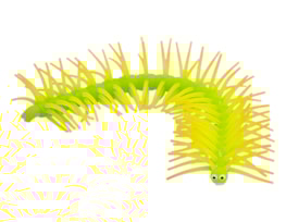 Wholesale Cecile the centipede CDU Wholesale Cecile the centipede CDU