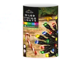 Wholesale 25 LED Battery Operated Multicoloured Lights 2.8M CDU