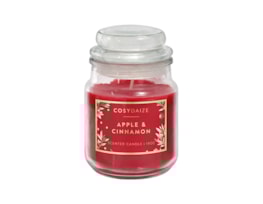 Wholesale Christmas Apple And Cinnamon Lidded Glass Candle 18oz Wholesale Christmas Apple And Cinnamon Lidded Glass Candle 18oz