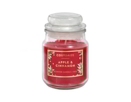 Wholesale Christmas Apple And Cinnamon Lidded Glass Candle 18oz