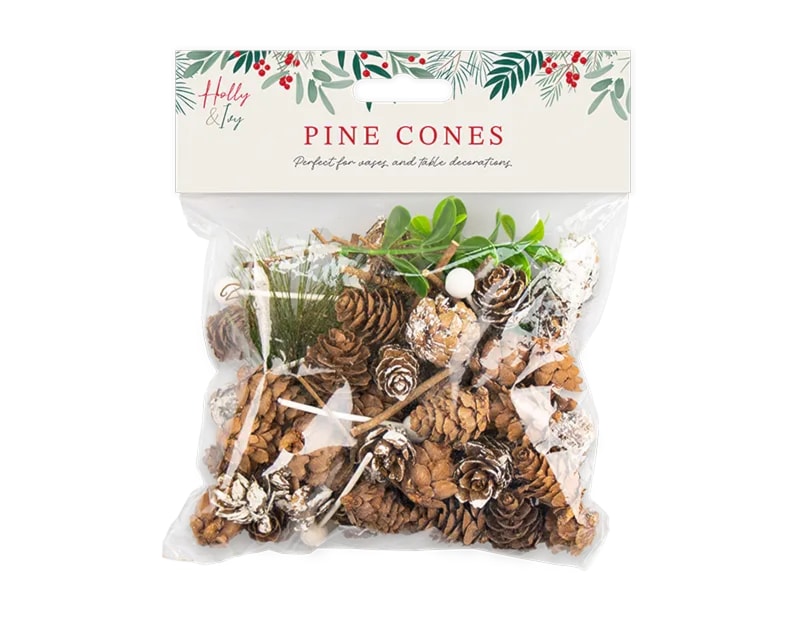 Wholesale Decorative Pine Cone Vase Fillers