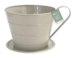 Cup & Saucer Planter Cup & Saucer Planter