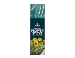 Wholesale Bamboo Flower | Gem imports Ltd Wholesale Bamboo Flower | Gem imports Ltd