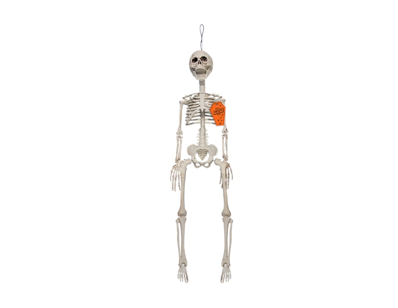 Wholesale Halloween Hanging Skeleton Decoration Wholesale Halloween Hanging Skeleton Decoration