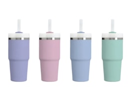 Wholesale Double Walled Cup With Straw 20oz