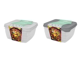 Wholesale Plastic Container 2pk