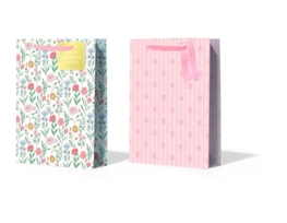 Wholesale Mother's Day Large Gift bag