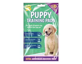 Wholesale Puppy Training Pads 10pk