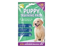 Wholesale Puppy Training Pads 10pk