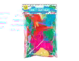 Wholesale Craft Feathers 12g Wholesale Craft Feathers 12g