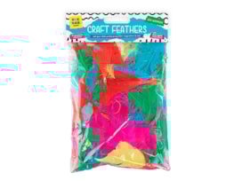 Wholesale Craft Feathers 12g