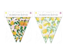 Wholesale Summer Party Fruit Bunting 15 Flags Wholesale Summer Party Fruit Bunting 15 Flags