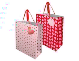 Wholesale Valentines Large Gift bag