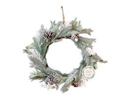 Wholesale Frosted Wreath 55cm
