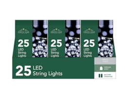 Wholesale 25 Battery Operated Bright White String Lights 2.7m CDU
