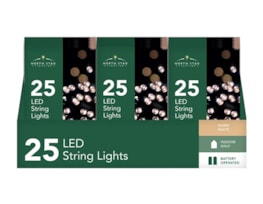 Wholesale 25 Battery Operated Warm White String Lights 2.7m CDU