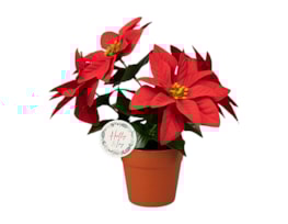 Wholesale Red Poinsettia in plastic Pot 23cm wholesale artificial christmas wreaths