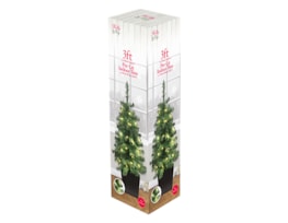 Wholesale Pre-Lit Christmas Potted Tree 3ft Wholesale Pre-Lit Christmas Potted Tree 3ft