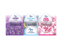 Mini Gel Air Freshener 3pk