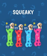 Wholesale Dog Toys - Squeaky
