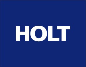 Holt Wholesale lightbulbs