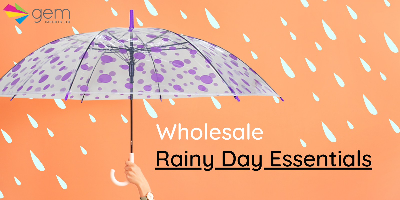 Wholesale Rainy Day Essentials