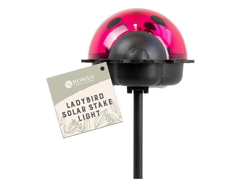Ladybird Solar Stake Light in PDQ