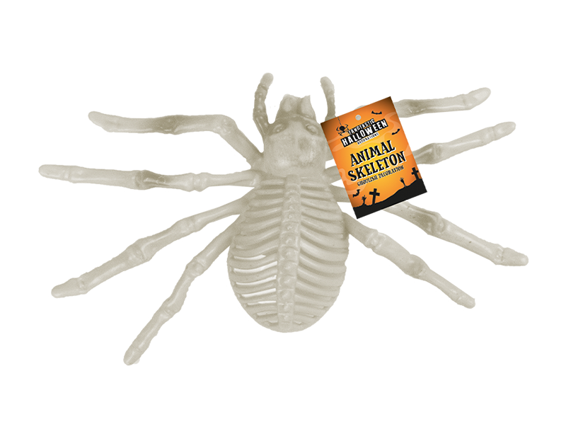 Wholesale Animal Skeleton PDQ | Gem Imports