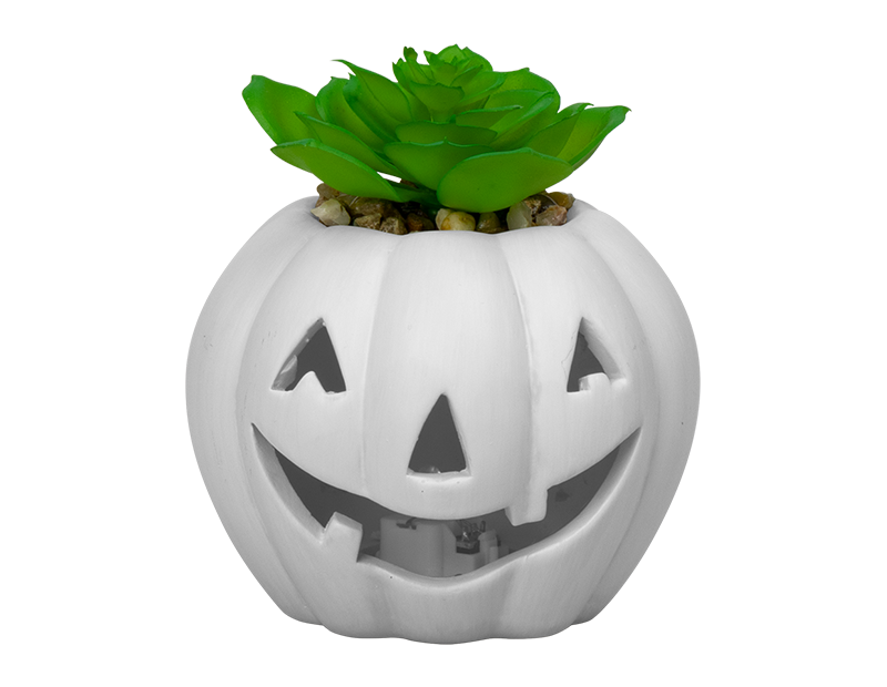 Halloween LED Pumpkin with Succulent 10cm