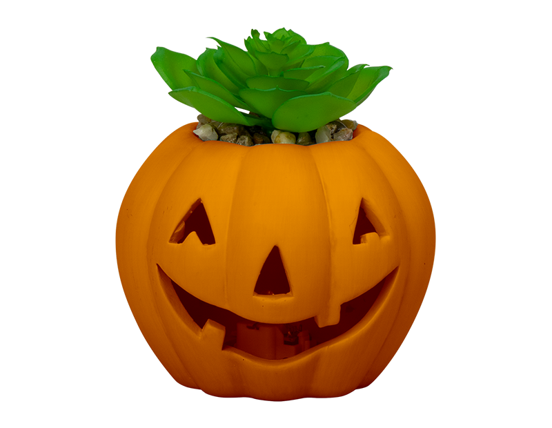 Halloween LED Pumpkin with Succulent 10cm