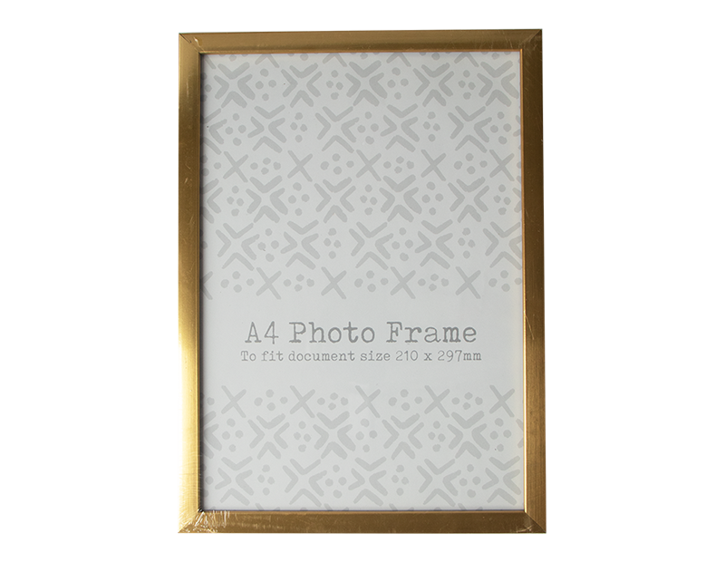A4 Document Frame