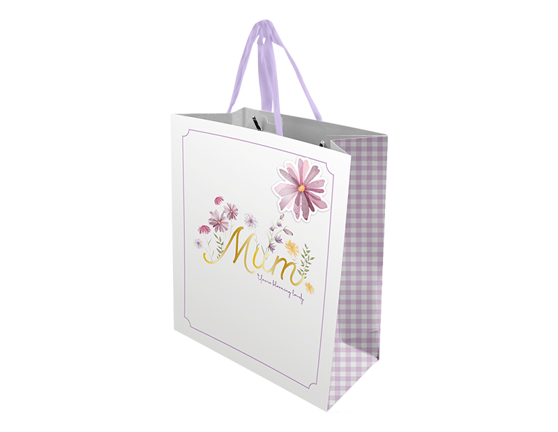 Wholesale Mother's Day Large Gift bag