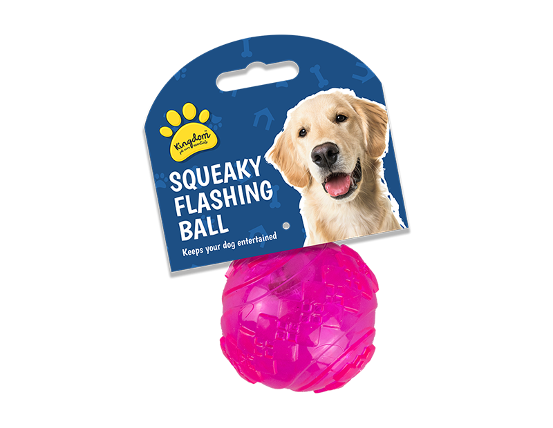 Flashing and Squeaky Play Ball
