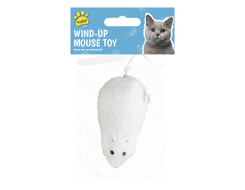 Cat Wind Up Play Mouse