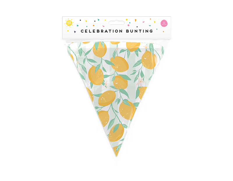 Summer Party Bunting 6m