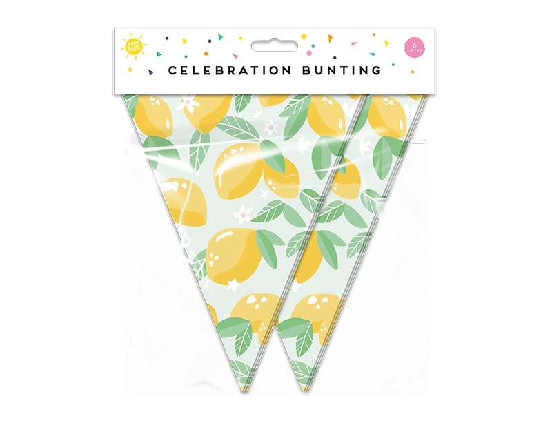 Wholesale Summer Party Fruit Bunting 15 Flags