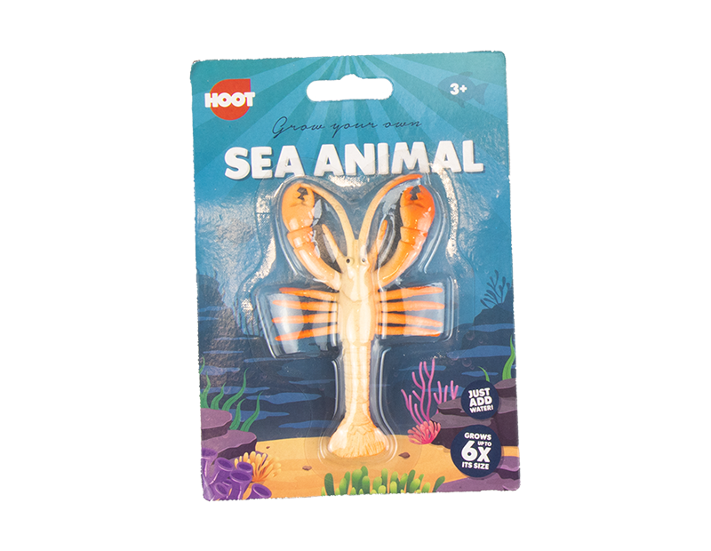 Grow Your Own Sea Animal