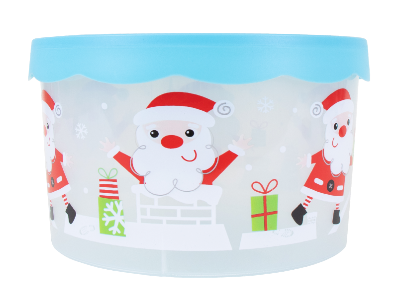 Christmas Storage Container