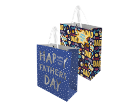 Wholesale Father's Day medium Gift bag | Gem imports Ltd.