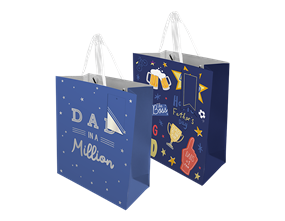 Wholesale Father's Day medium Gift bag | Gem imports ltd