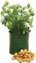 Wholesale Potato planter