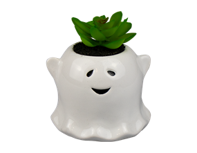 Wholesale Halloween Ghost with succulent | Gem imports Ltd