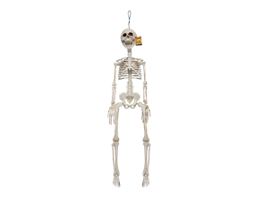 Wholesale Halloween Hanging Skeleton Decoration