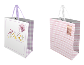 Wholesale Mother's Day Large Gift bag