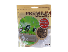 Wholesale Premium Mealworms | Gem Imports Ltd
