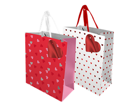 Valentine's Day Medium Gift Bag